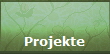 Projekte