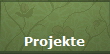 Projekte